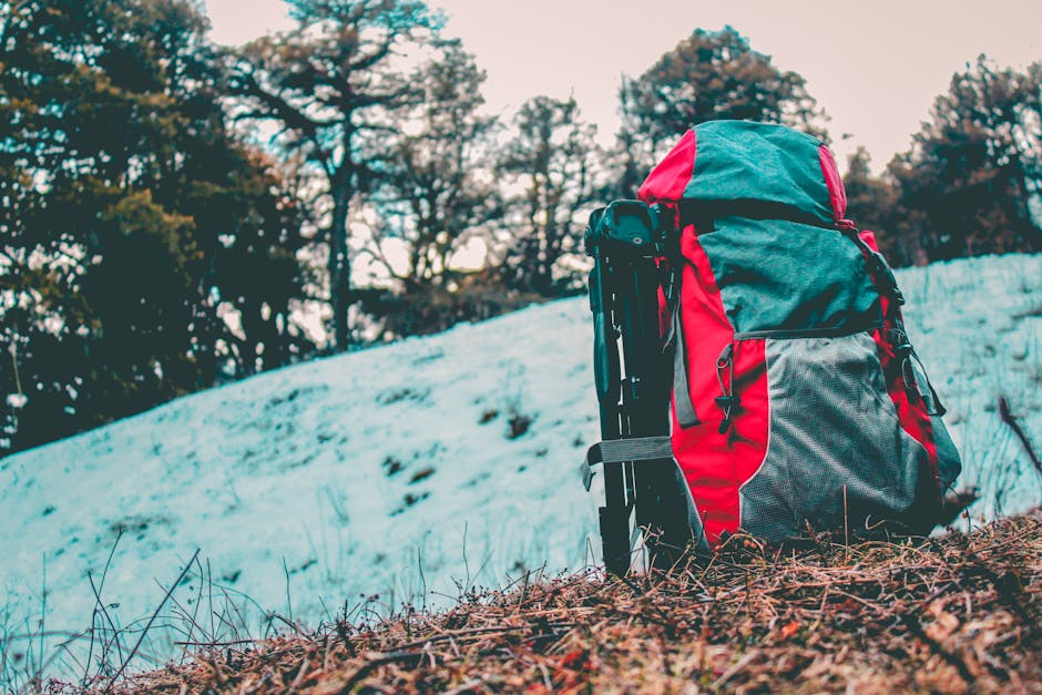 sac dos trekking 65L